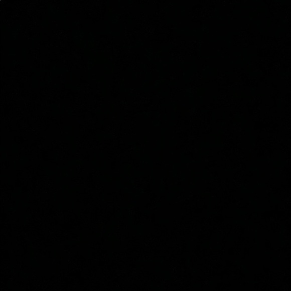 Meet your Posher, Aaliyah - Picture 1 of 1